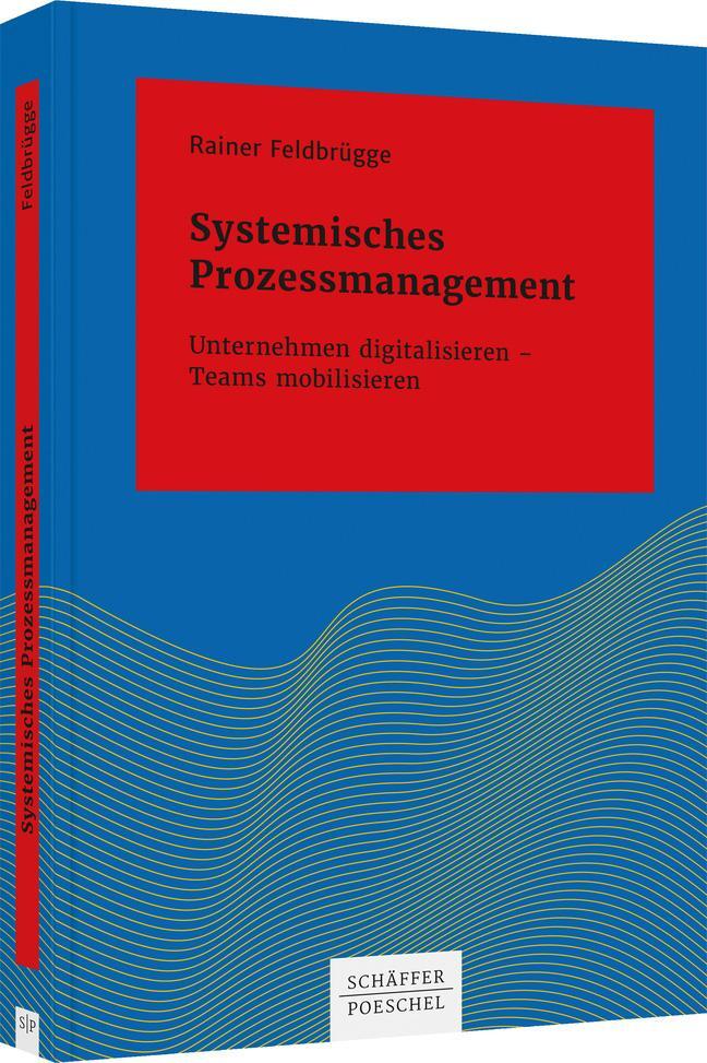 Cover: 9783791052618 | Systemisches Prozessmanagement | Rainer Feldbrügge | Buch | 275 S.