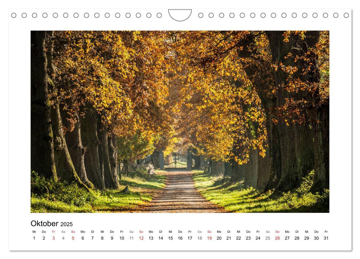 Bild: 9783435156207 | Impressionen aus Ostwestfalen-Lippe (Wandkalender 2025 DIN A4...