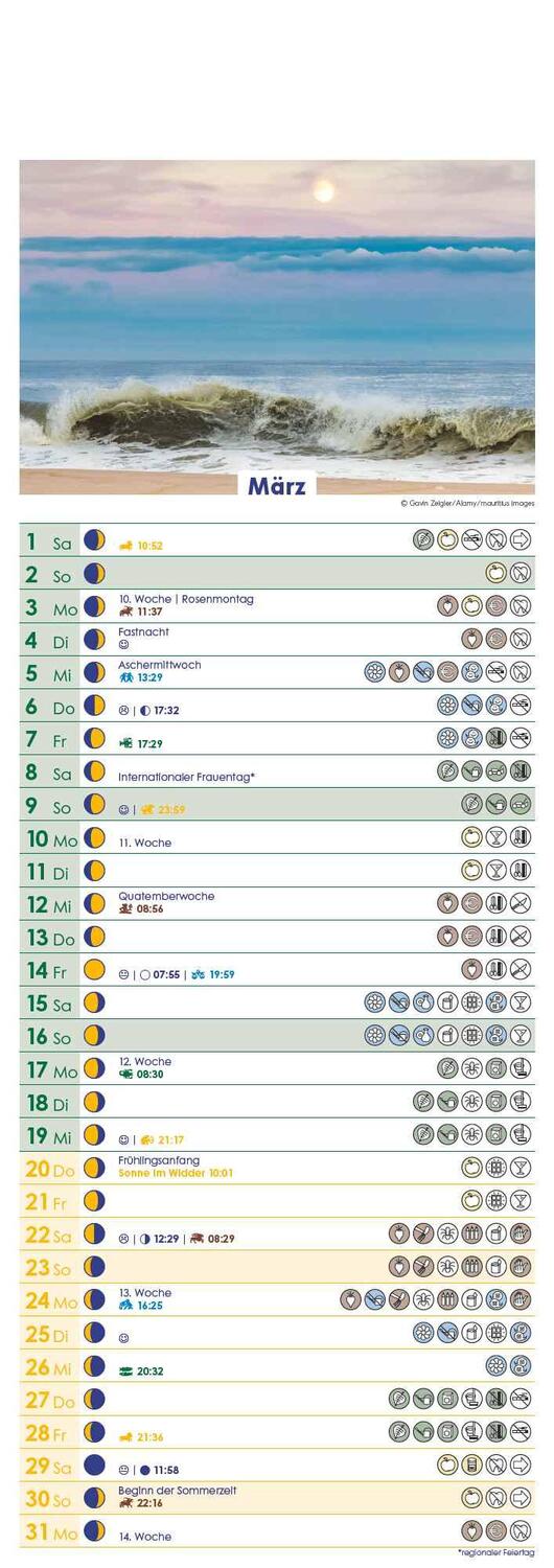 Bild: 4251732341541 | Mondkalender 2025 - Streifen-Kalender 14,85x42 cm - Wandplaner -...