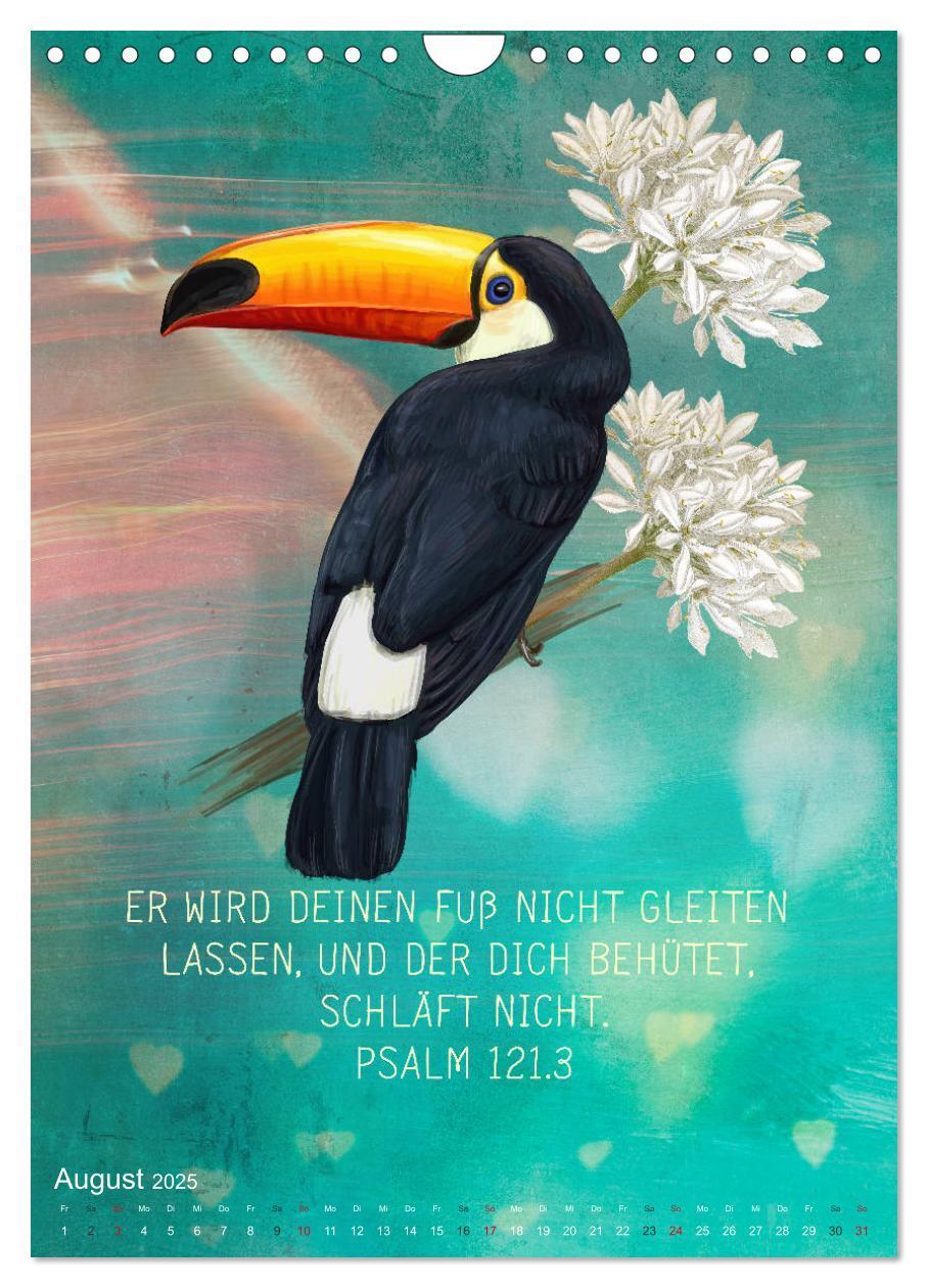 Bild: 9783435962655 | Bibelworte für Vogelfreunde (Wandkalender 2025 DIN A4 hoch),...