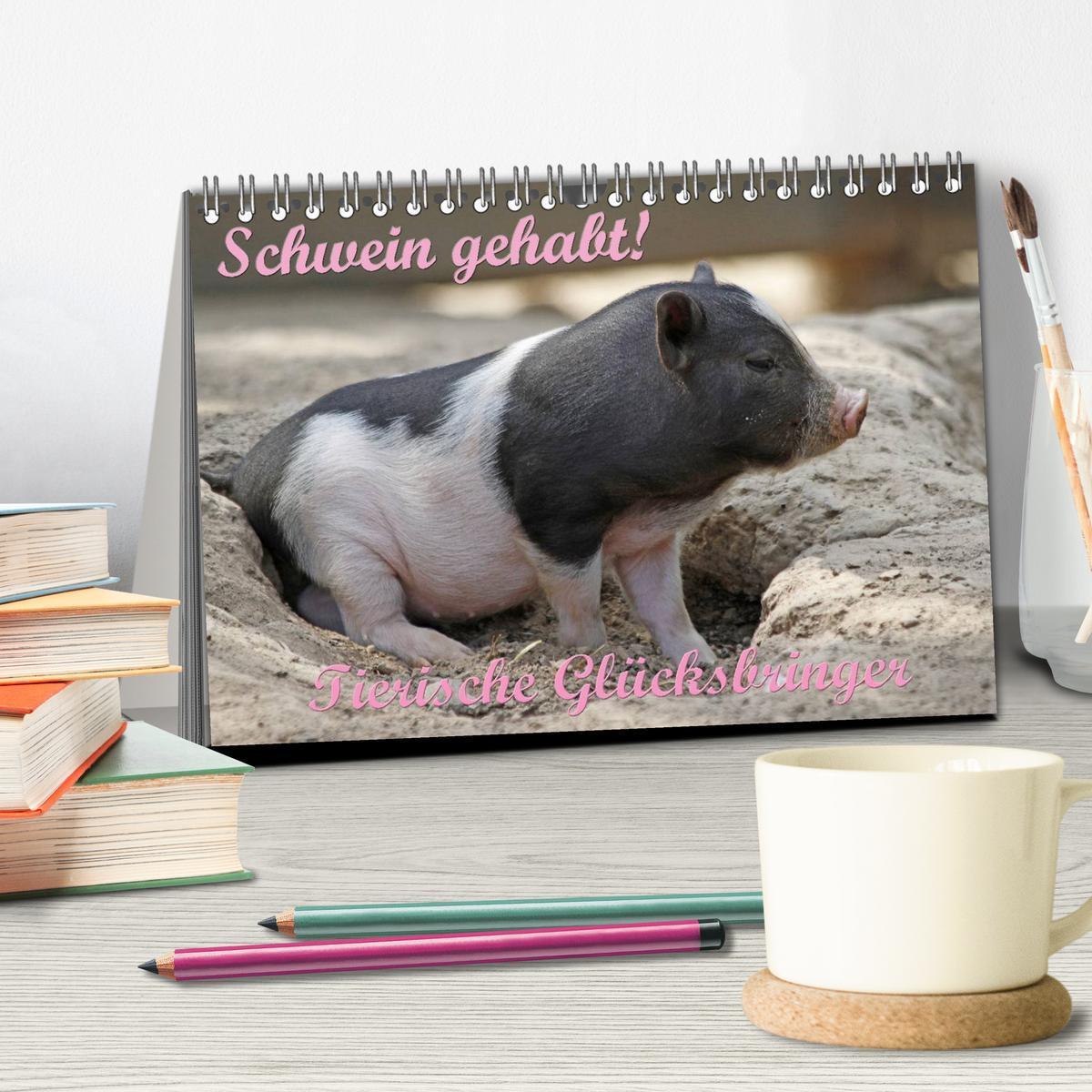 Bild: 9783435777501 | Schwein gehabt! (Tischkalender 2025 DIN A5 quer), CALVENDO...