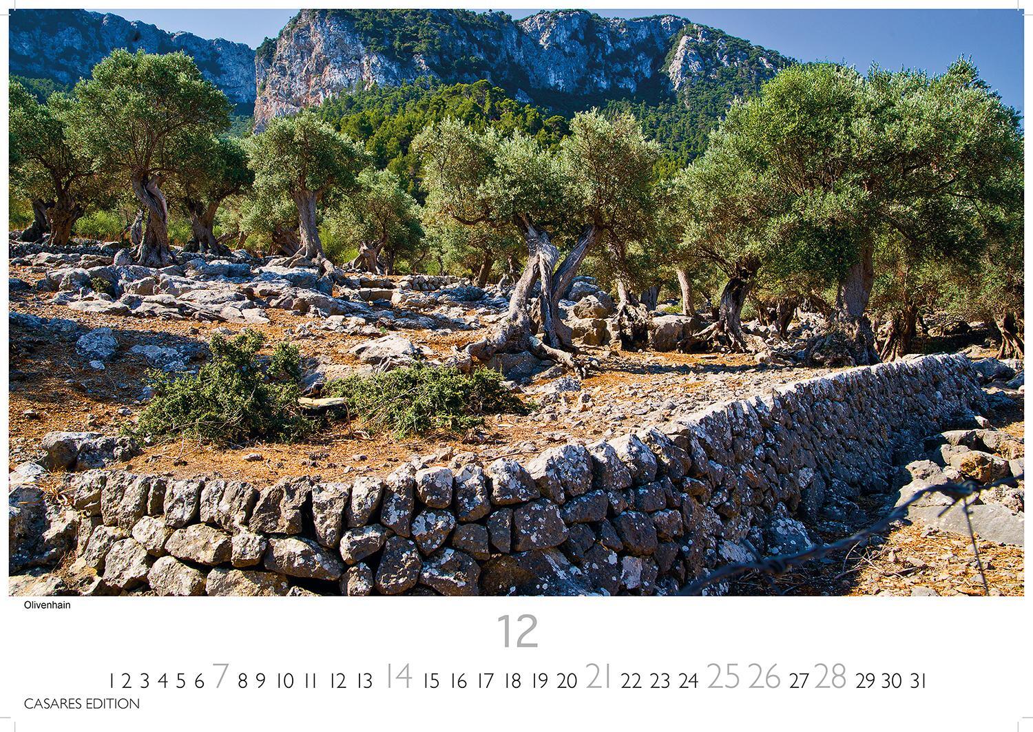 Bild: 9781835240328 | Spanien 2025 L 35x50cm | Kalender | 14 S. | Deutsch | 2025