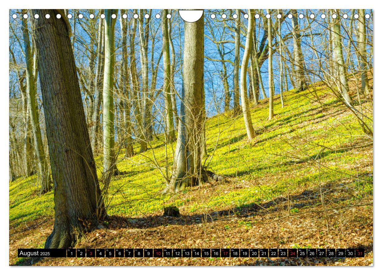 Bild: 9783435132461 | Jena und Umgebung - Von Jena bis Dornburg (Wandkalender 2025 DIN A4...