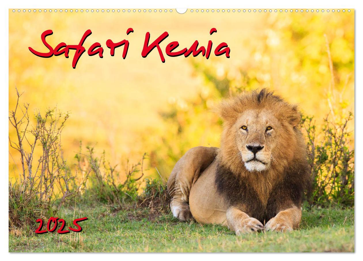 Cover: 9783435291458 | Safari Kenia (Wandkalender 2025 DIN A2 quer), CALVENDO Monatskalender