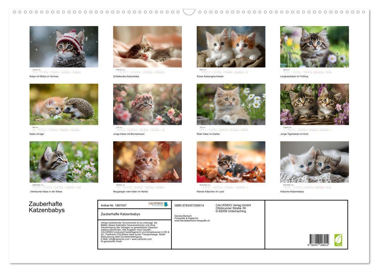 Bild: 9783457208014 | Zauberhafte Katzenbabys (Wandkalender 2025 DIN A2 quer), CALVENDO...