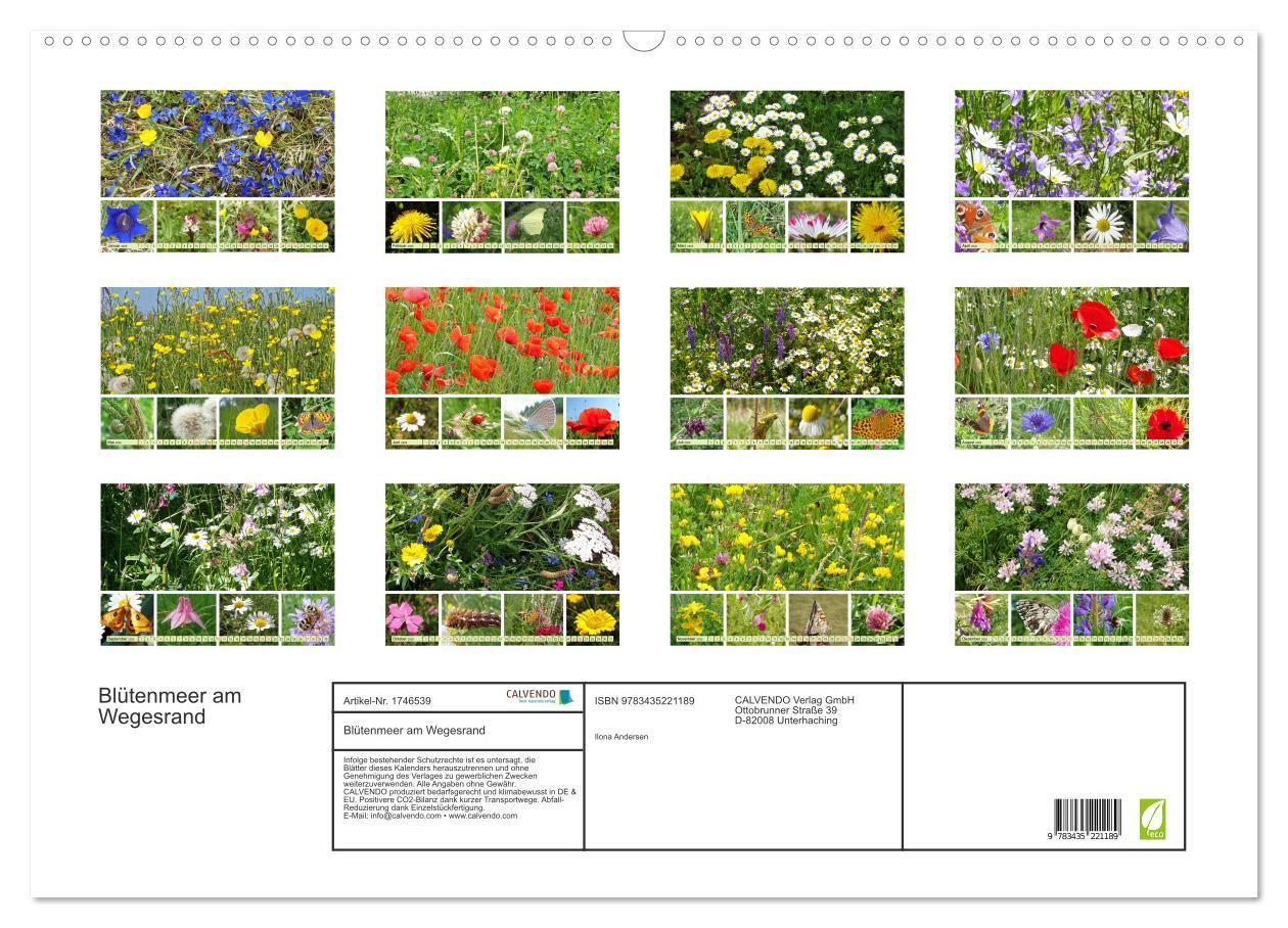 Bild: 9783435221189 | Blütenmeer am Wegesrand (Wandkalender 2025 DIN A2 quer), CALVENDO...