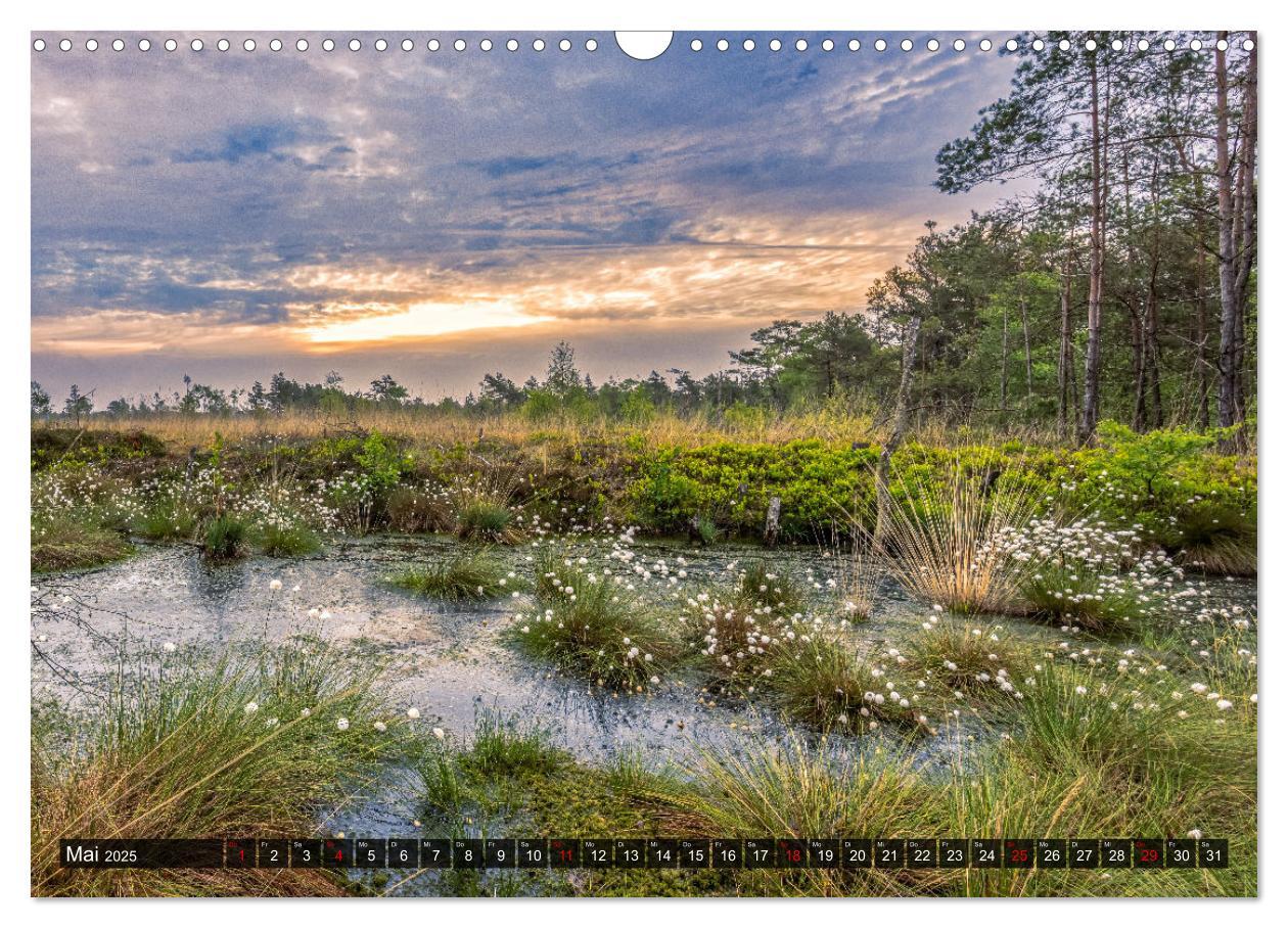 Bild: 9783383963711 | Die Lüneburger Heide - Faszination einer Naturlandschaft...