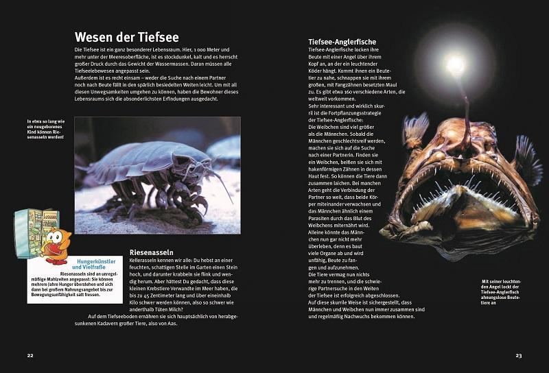 Bild: 9783866594777 | Entdecke die skurrilsten Tiere | Leonie Proscurcin | Buch | 64 S.