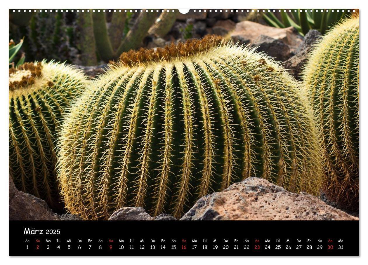 Bild: 9783435799916 | Lanzarote (Wandkalender 2025 DIN A2 quer), CALVENDO Monatskalender