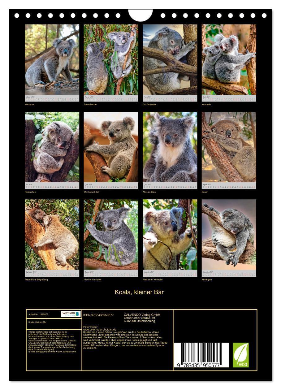 Bild: 9783435950577 | Koala, kleiner Bär (Wandkalender 2025 DIN A4 hoch), CALVENDO...