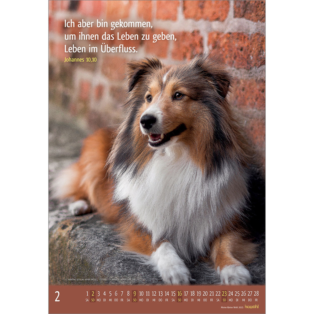 Bild: 9783754845059 | Meine kleine Welt 2025 | Tierkalender mit Bibelworten | Kalender