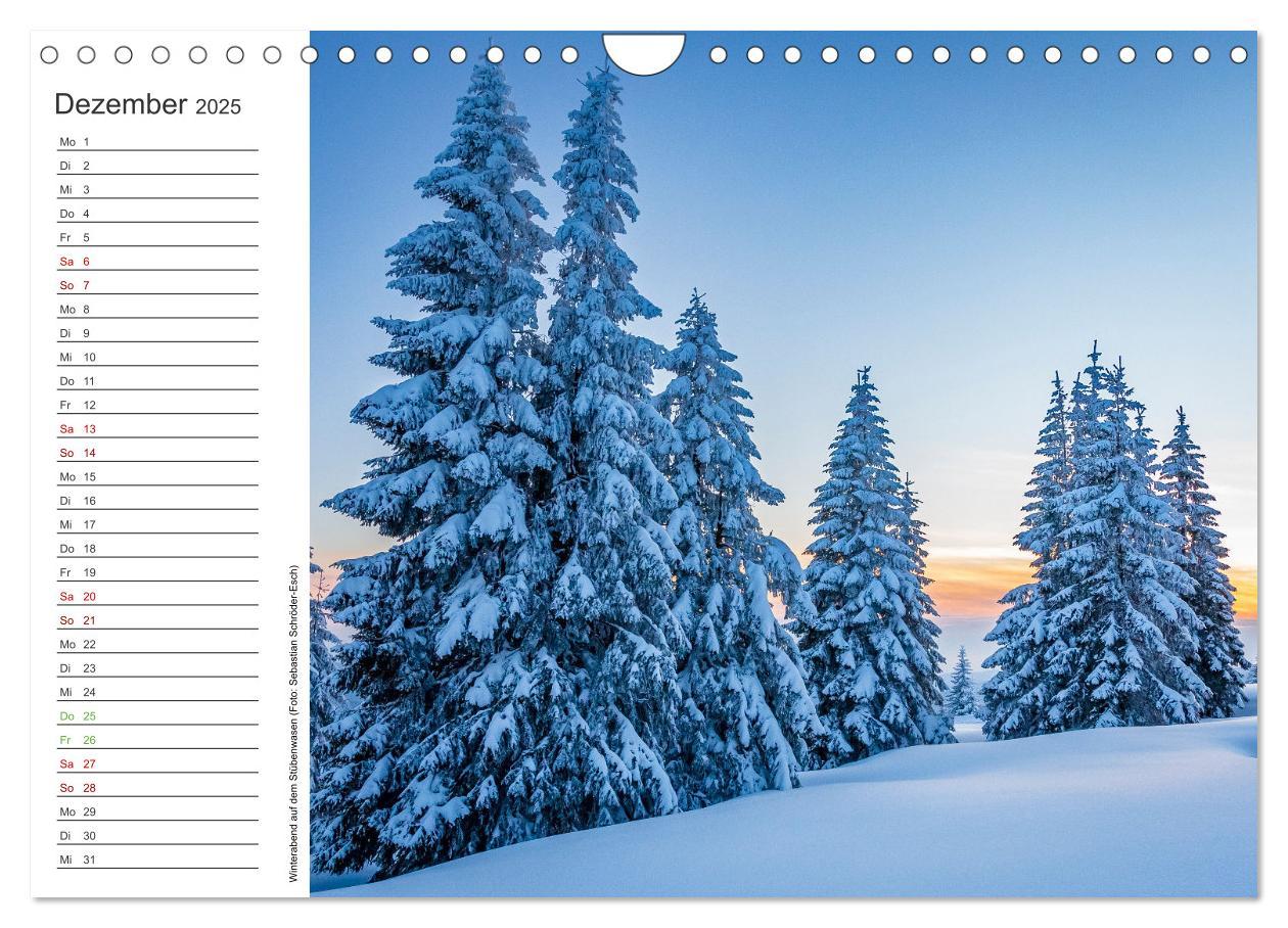 Bild: 9783383932762 | Naturvielfalt Wiesental (Wandkalender 2025 DIN A4 quer), CALVENDO...