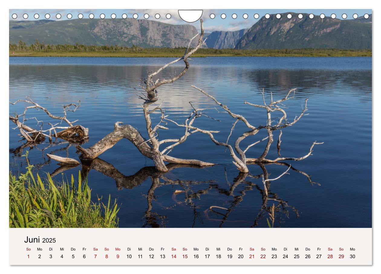 Bild: 9783435342020 | Neufundland Impressionen 2025 (Wandkalender 2025 DIN A4 quer),...