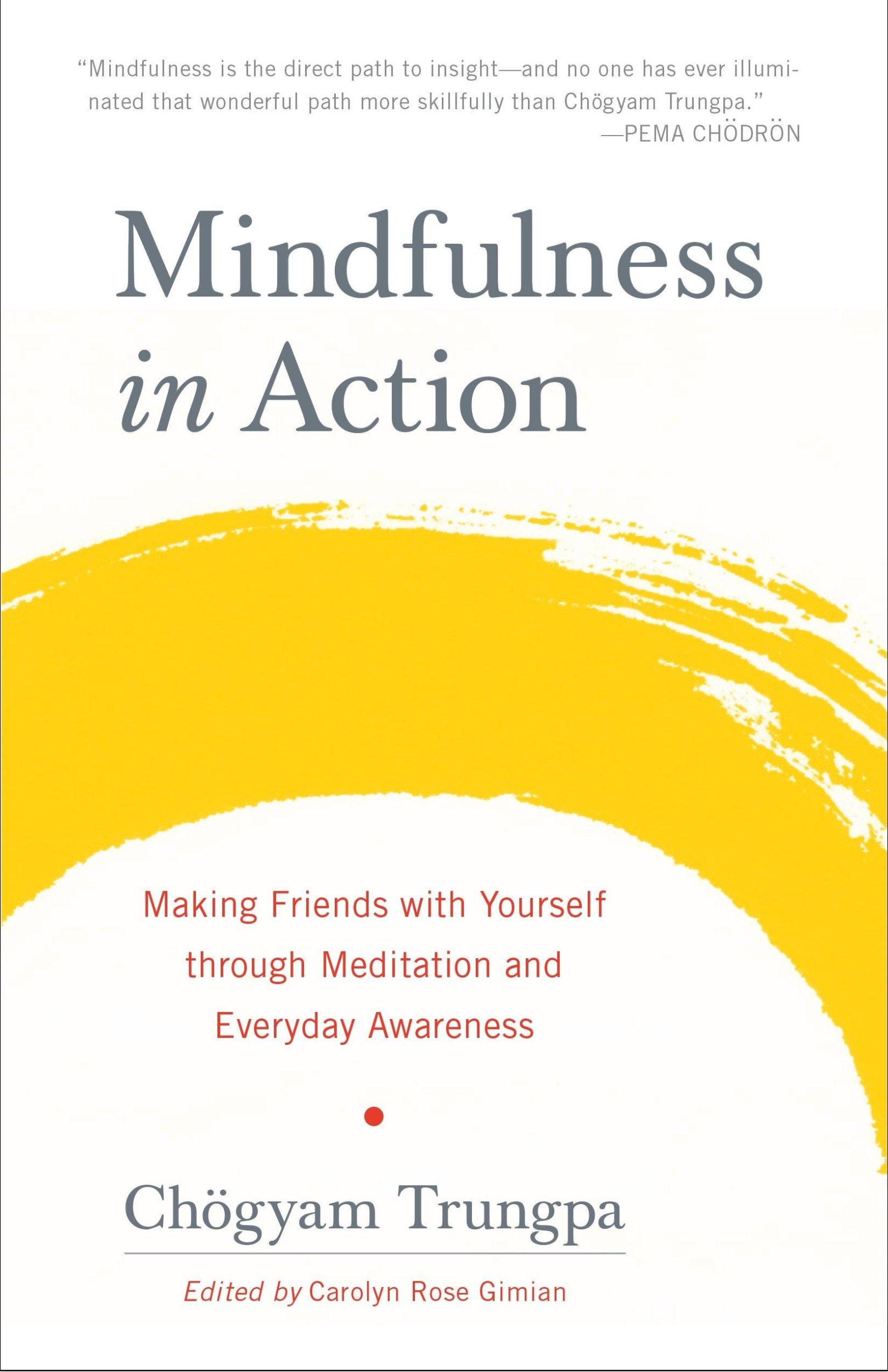 Cover: 9781611803532 | Mindfulness in Action | Chögyam Trungpa | Taschenbuch | Englisch