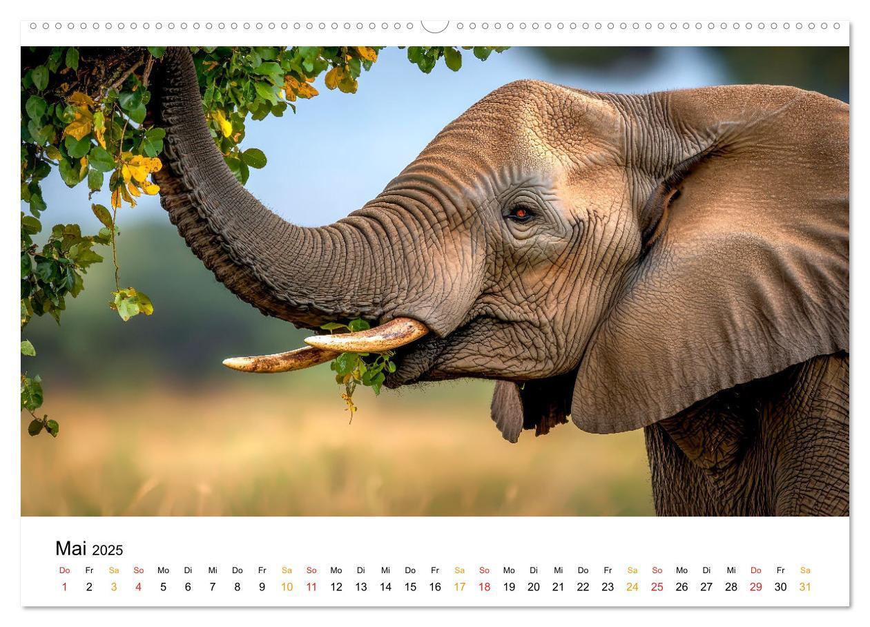 Bild: 9783457240533 | Elefanten - Riesen der Wildnis (hochwertiger Premium Wandkalender...