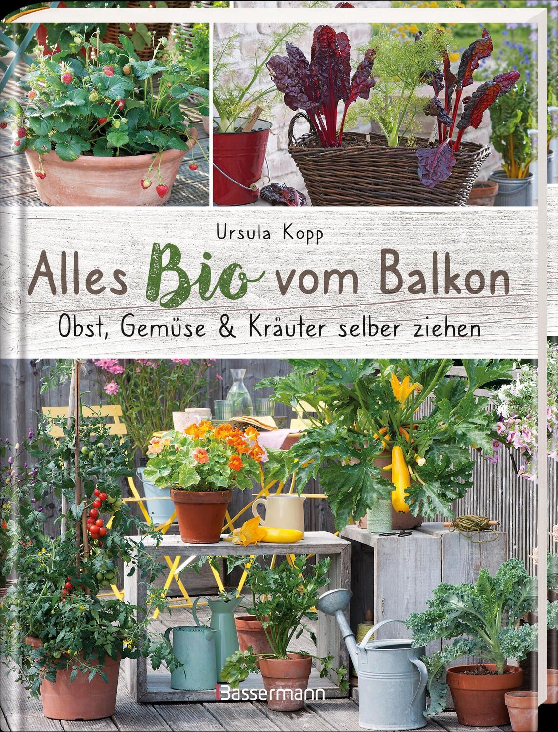 Bild: 9783809443186 | Alles Bio vom Balkon. Obst, Gemüse und Kräuter selber ziehen. | Kopp