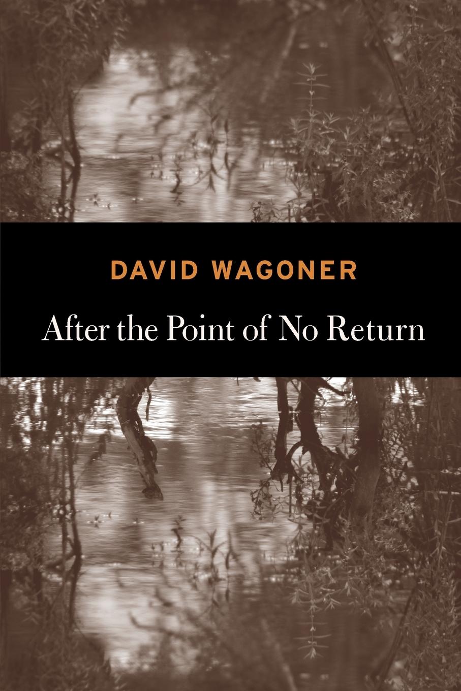 Cover: 9781556593826 | After the Point of No Return | David Wagoner | Taschenbuch | Englisch