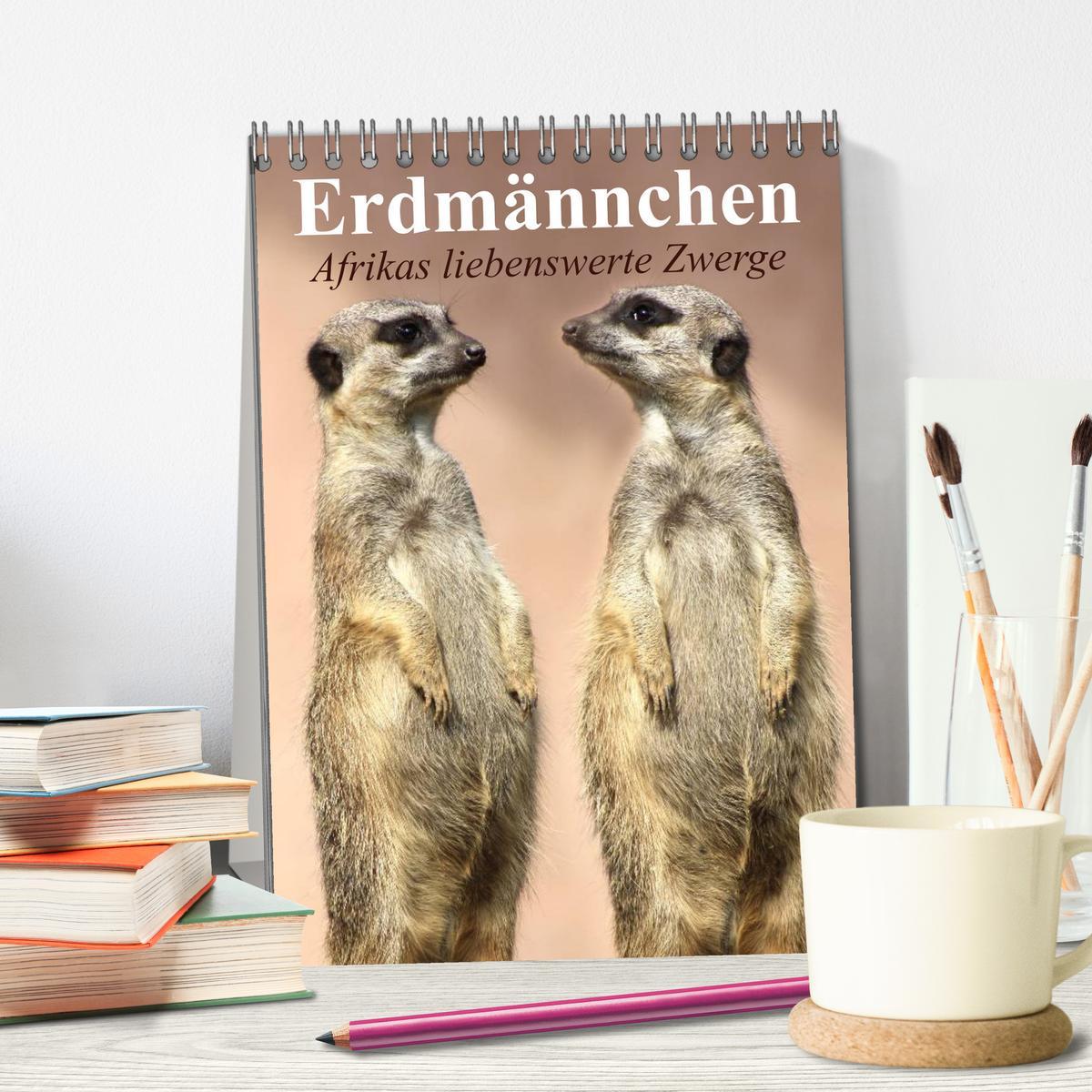 Bild: 9783457054345 | Erdmännchen - Afrikas liebenswerte Zwerge (Tischkalender 2025 DIN...