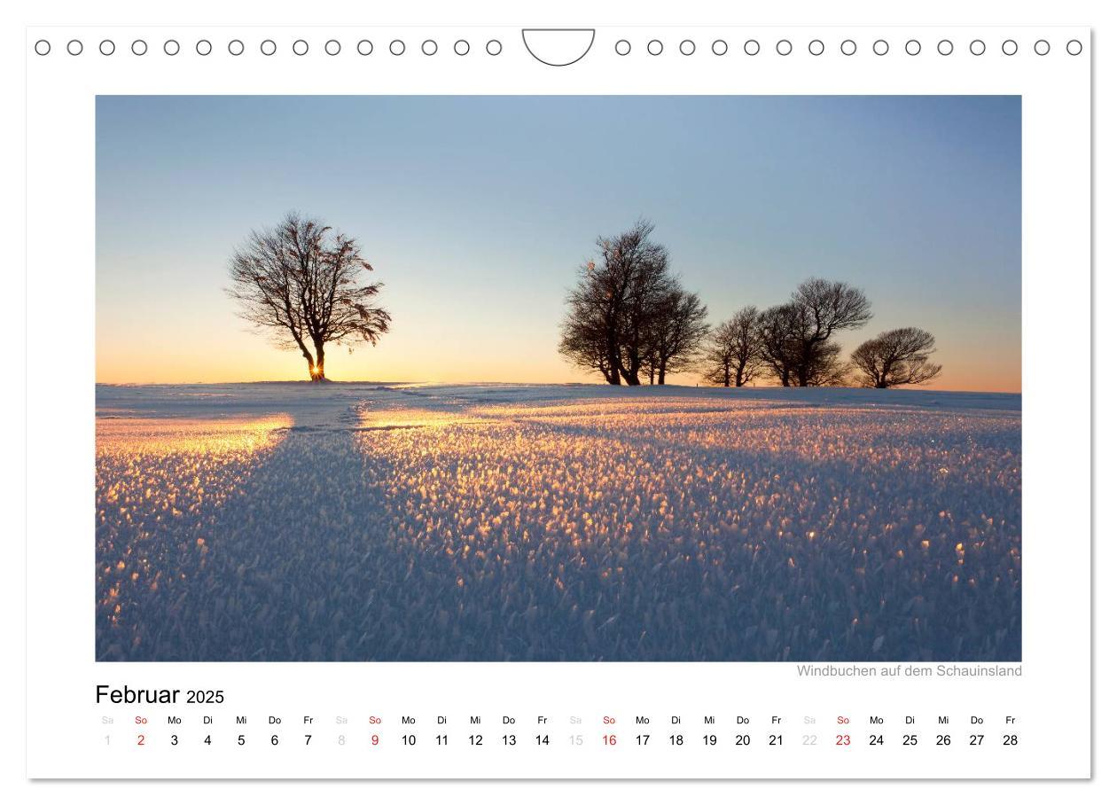 Bild: 9783435818648 | Schwarzwald 2025 (Wandkalender 2025 DIN A4 quer), CALVENDO...