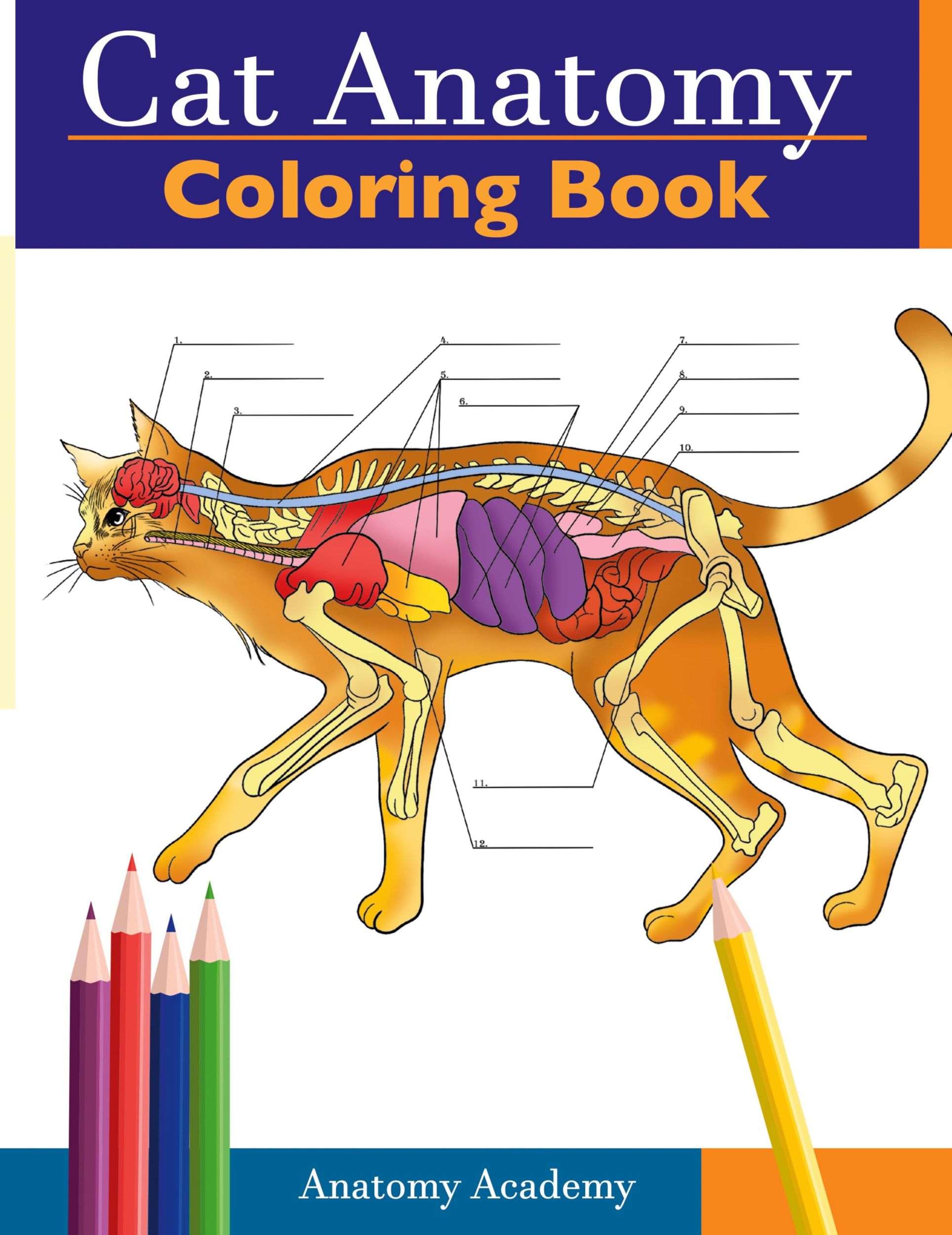 Cover: 9781914207488 | Cat Anatomy Coloring Book | Anatomy Academy | Taschenbuch | Englisch