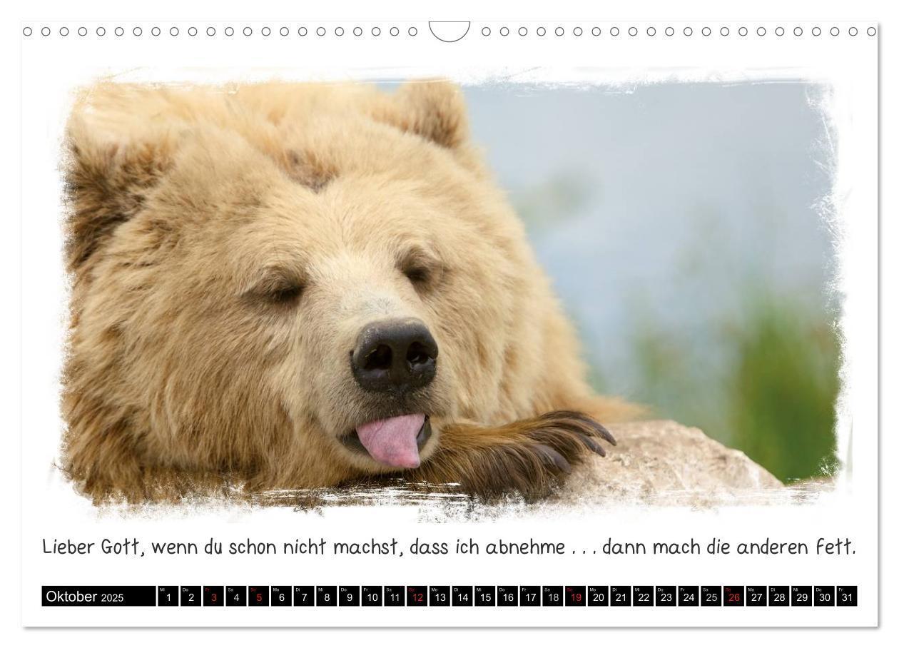 Bild: 9783435606658 | Tierisch witzig (Wandkalender 2025 DIN A3 quer), CALVENDO...