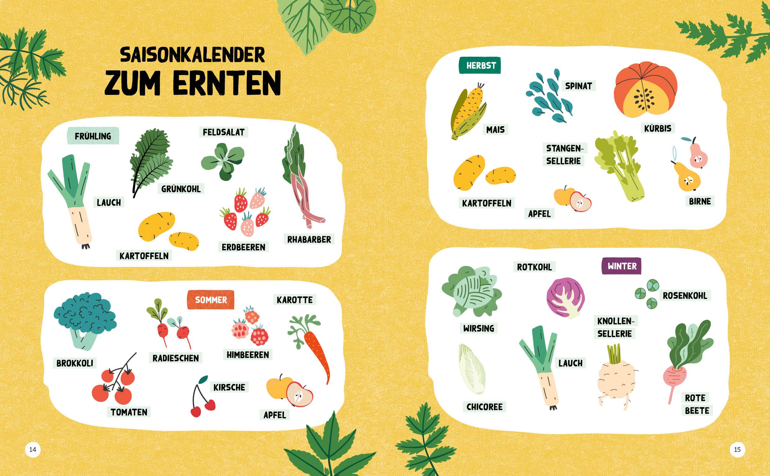 Bild: 9783745905205 | Expedition Vitamine - Mein erstes Gartenbuch fürs ganze Jahr | Buch