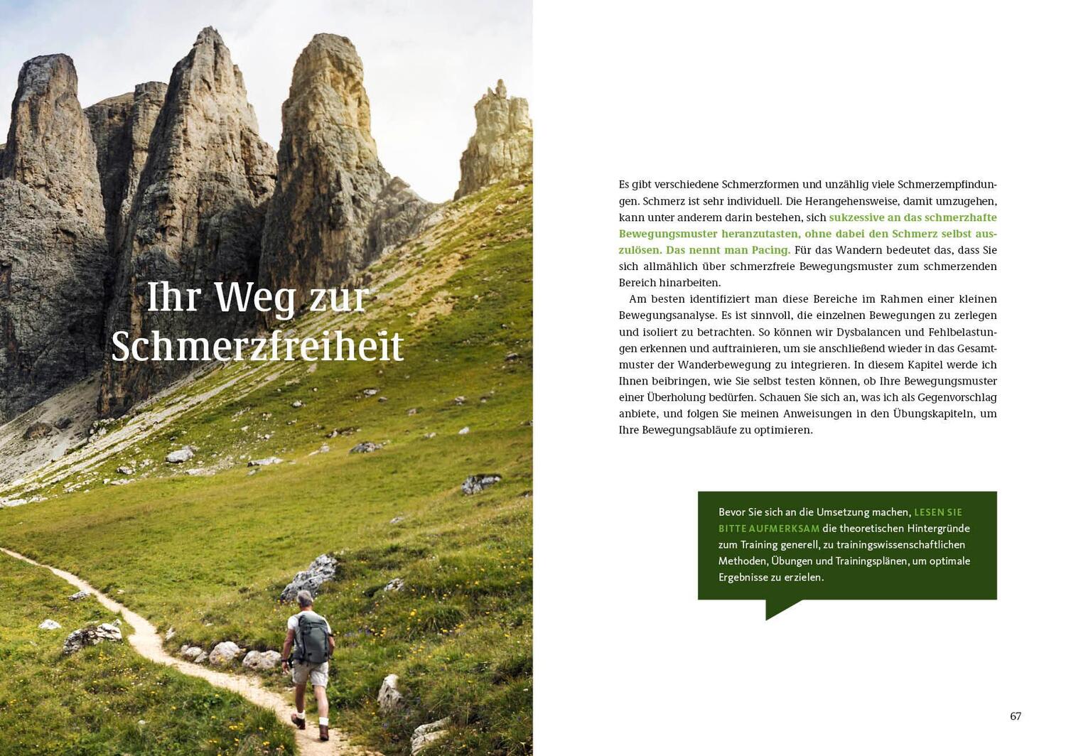 Bild: 9783954533046 | Endlich wieder schmerzfrei wandern | Marwin Isenberg | Taschenbuch