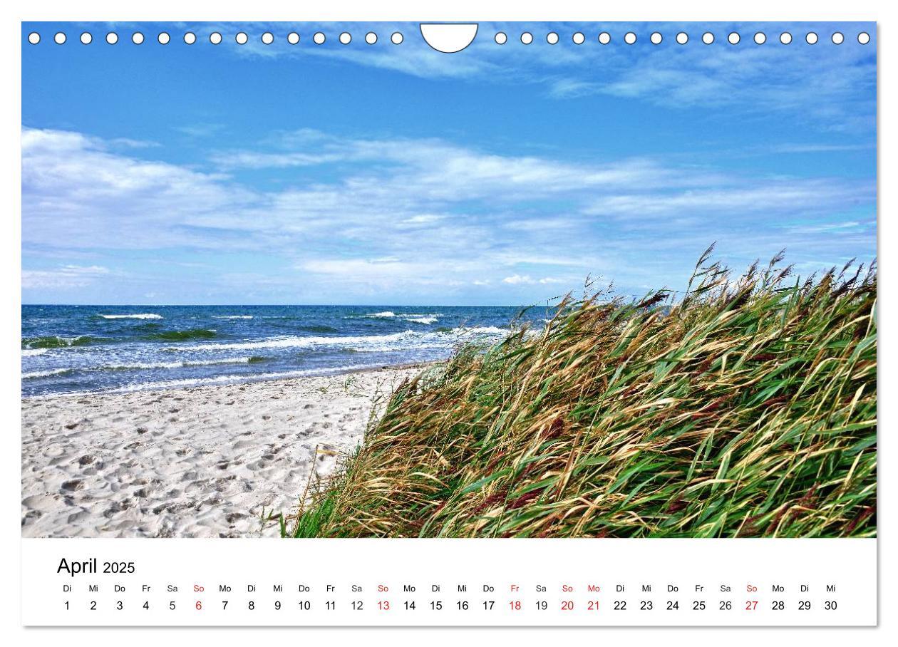 Bild: 9783435663842 | MEER - Mehr! (Wandkalender 2025 DIN A4 quer), CALVENDO Monatskalender