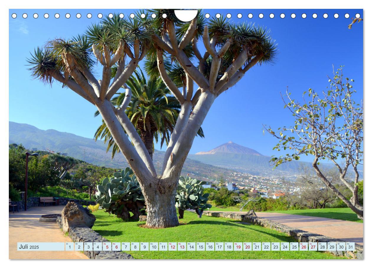 Bild: 9783435086702 | Teneriffa - Insel der Glückseligen (Wandkalender 2025 DIN A4 quer),...