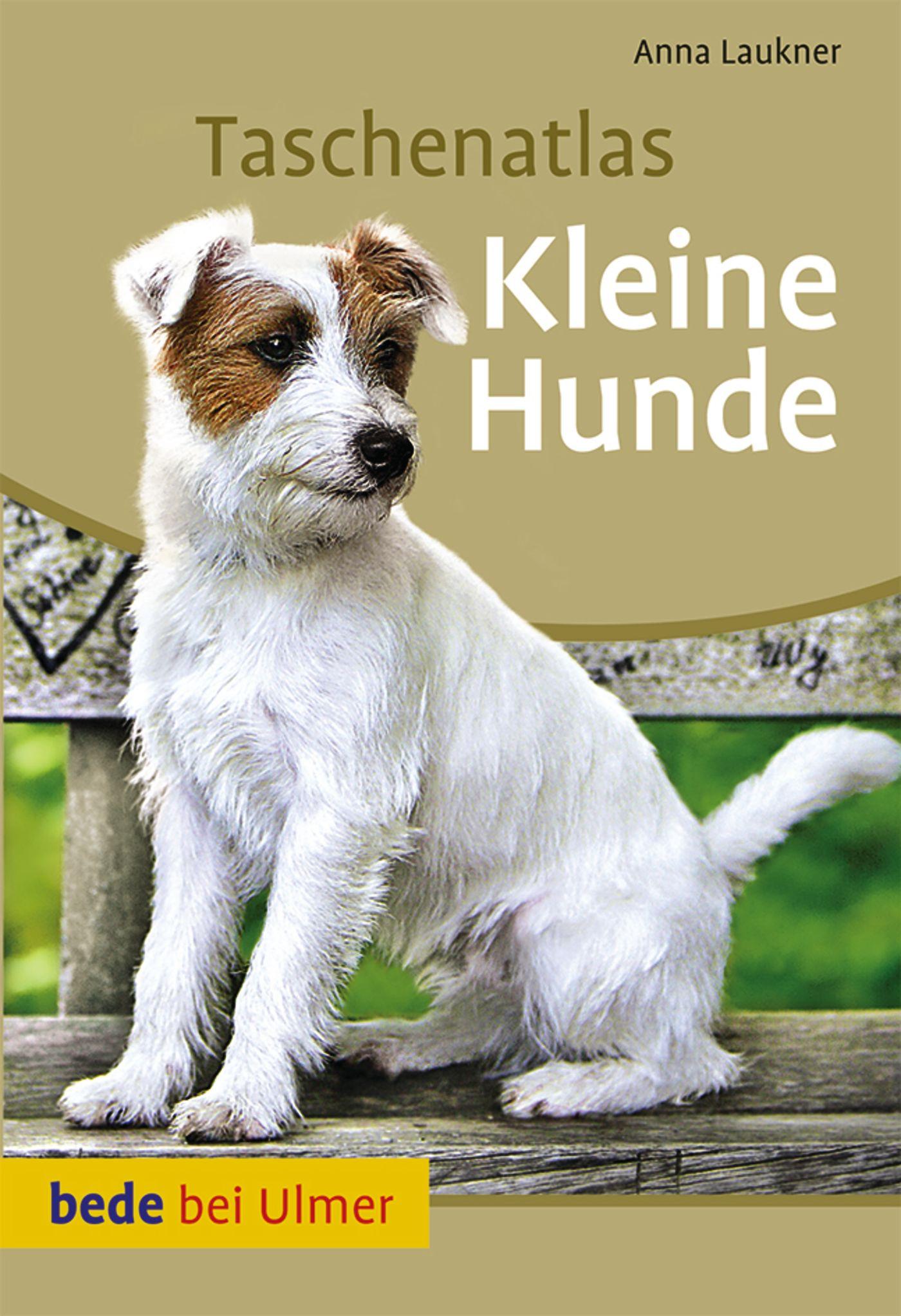 Cover: 9783800176557 | Taschenatlas Kleine Hunde | Anna Laukner | Taschenbuch | 128 S. | 2011