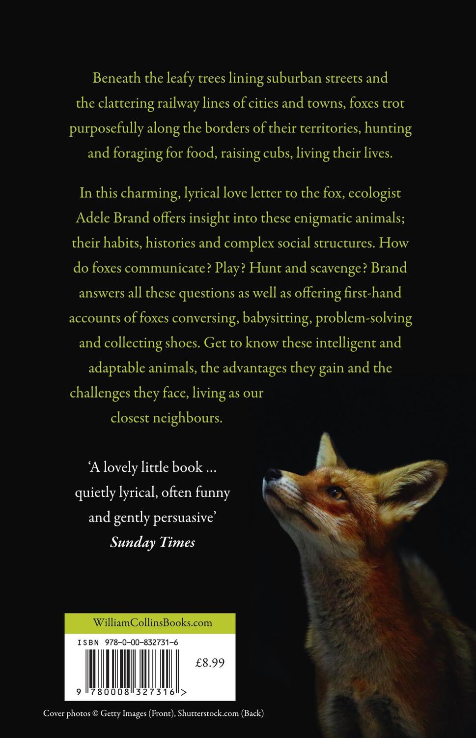 Rückseite: 9780008327316 | The Hidden World of the Fox | Adele Brand | Taschenbuch | 224 S.