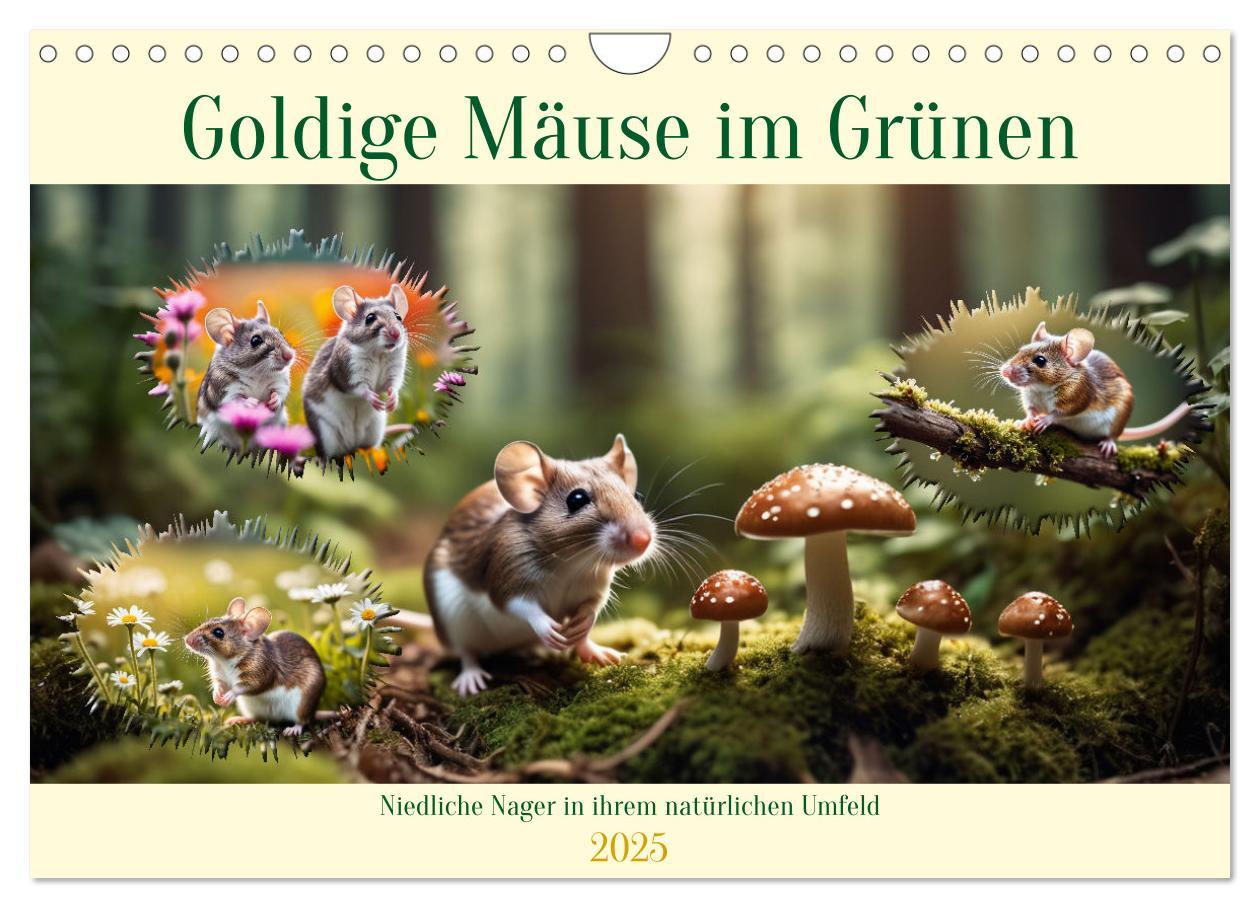 Cover: 9783457148594 | Goldige Mäuse im Grünen (Wandkalender 2025 DIN A4 quer), CALVENDO...