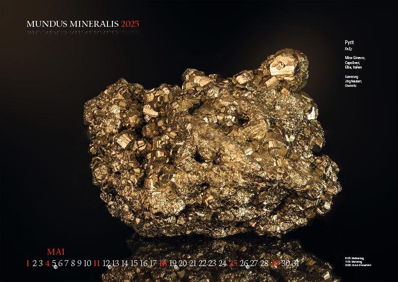 Bild: 9783957561398 | MUNDUS MINERALIS 2025 | Die Welt der Mineralien | Jörg Neubert | 2025