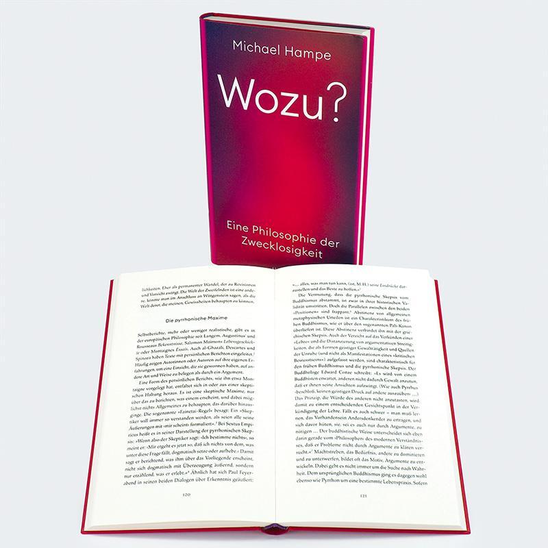 Bild: 9783446279162 | Wozu? | Eine Philosophie der Zwecklosigkeit | Michael Hampe | Buch