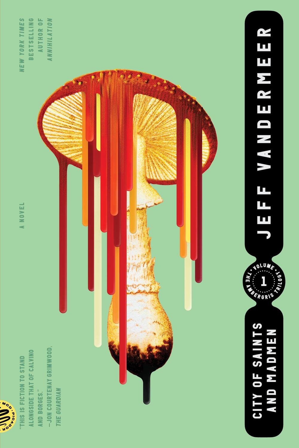 Cover: 9780374538606 | City of Saints and Madmen | Jeff VanderMeer | Taschenbuch | Englisch