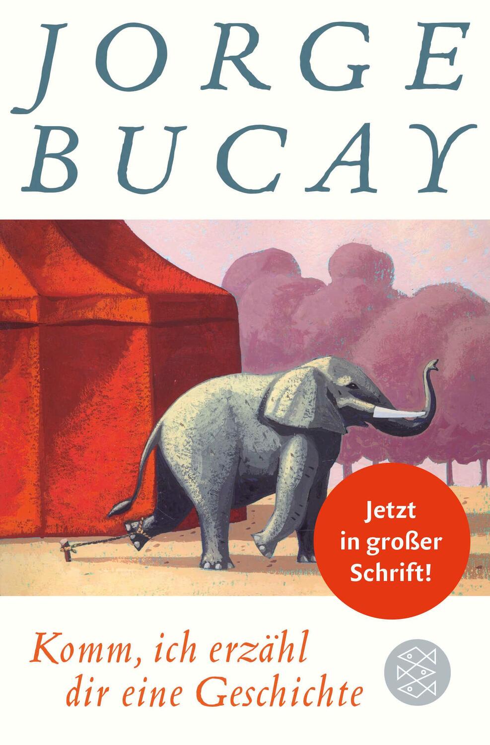 Cover: 9783596033737 | Komm, ich erzähl dir eine Geschichte (Großdruck-Ausgabe) | Jorge Bucay