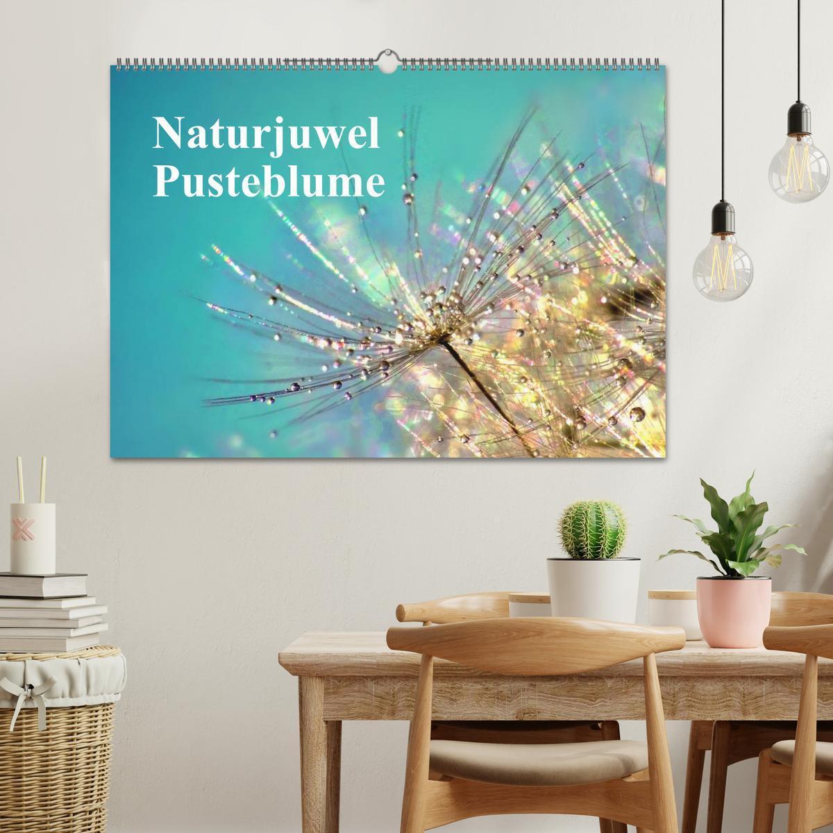 Bild: 9783435746316 | Naturjuwel Pusteblume (Wandkalender 2025 DIN A2 quer), CALVENDO...