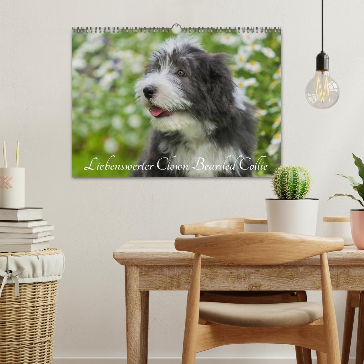 Bild: 9783435573509 | Liebenswerter Clown Bearded Collie (Wandkalender 2025 DIN A3 quer),...