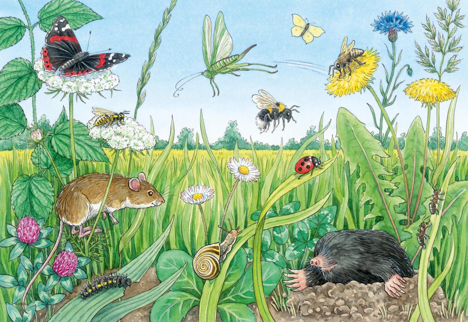 Bild: 4005556056736 | Ravensburger Kinderpuzzle - 05673 Tiere im Wald und auf der Wiese -...