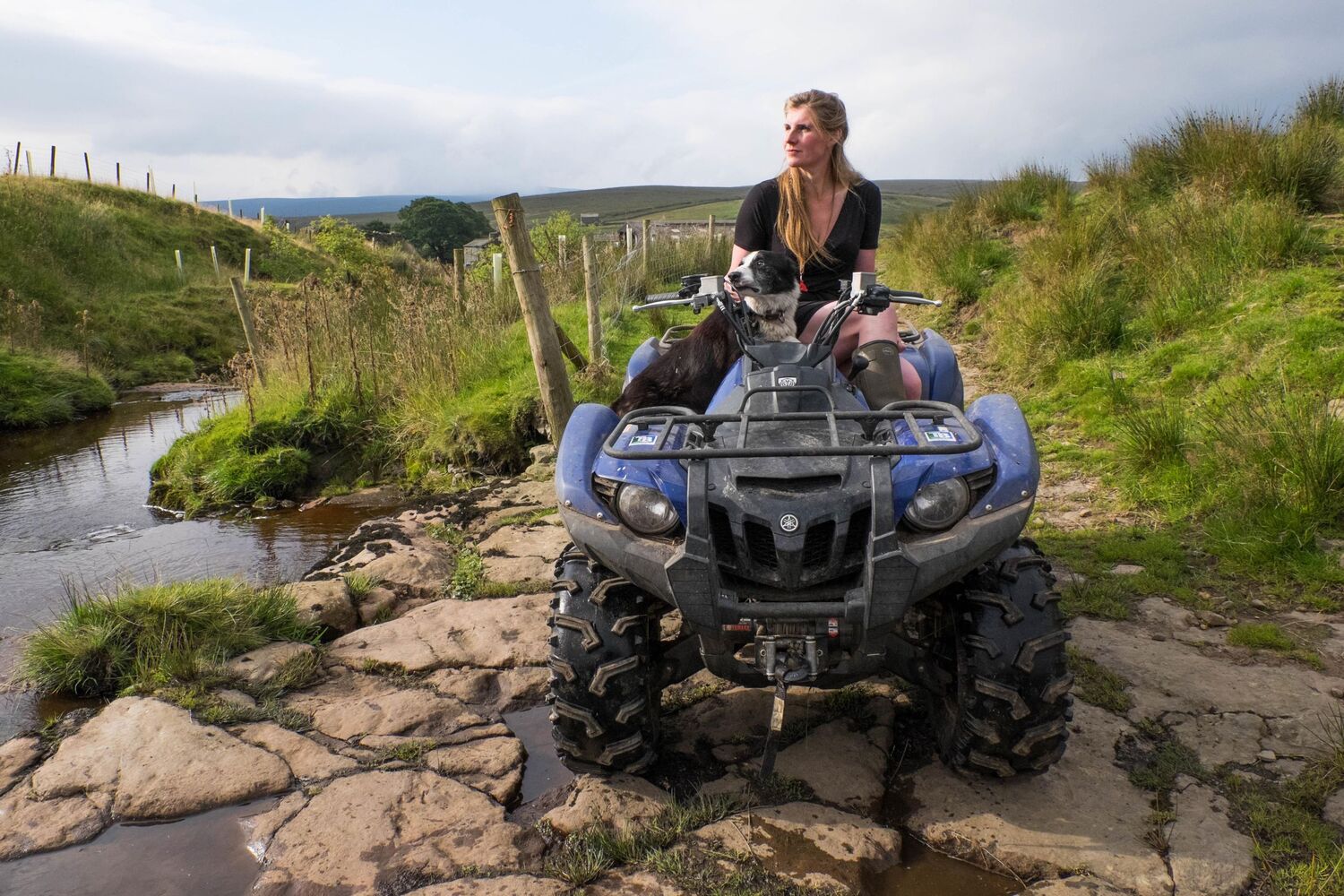 Autor: 9781529074758 | Tales From the Farm by the Yorkshire Shepherdess | Amanda Owen | Buch