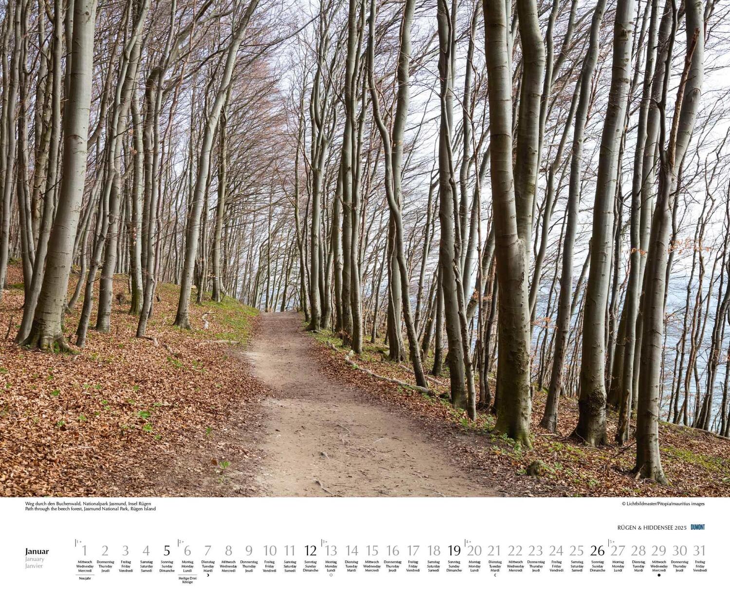 Bild: 4250809652726 | Rügen &amp; Hiddensee 2025 - Wandkalender 52 x 42,5 cm - Spiralbindung