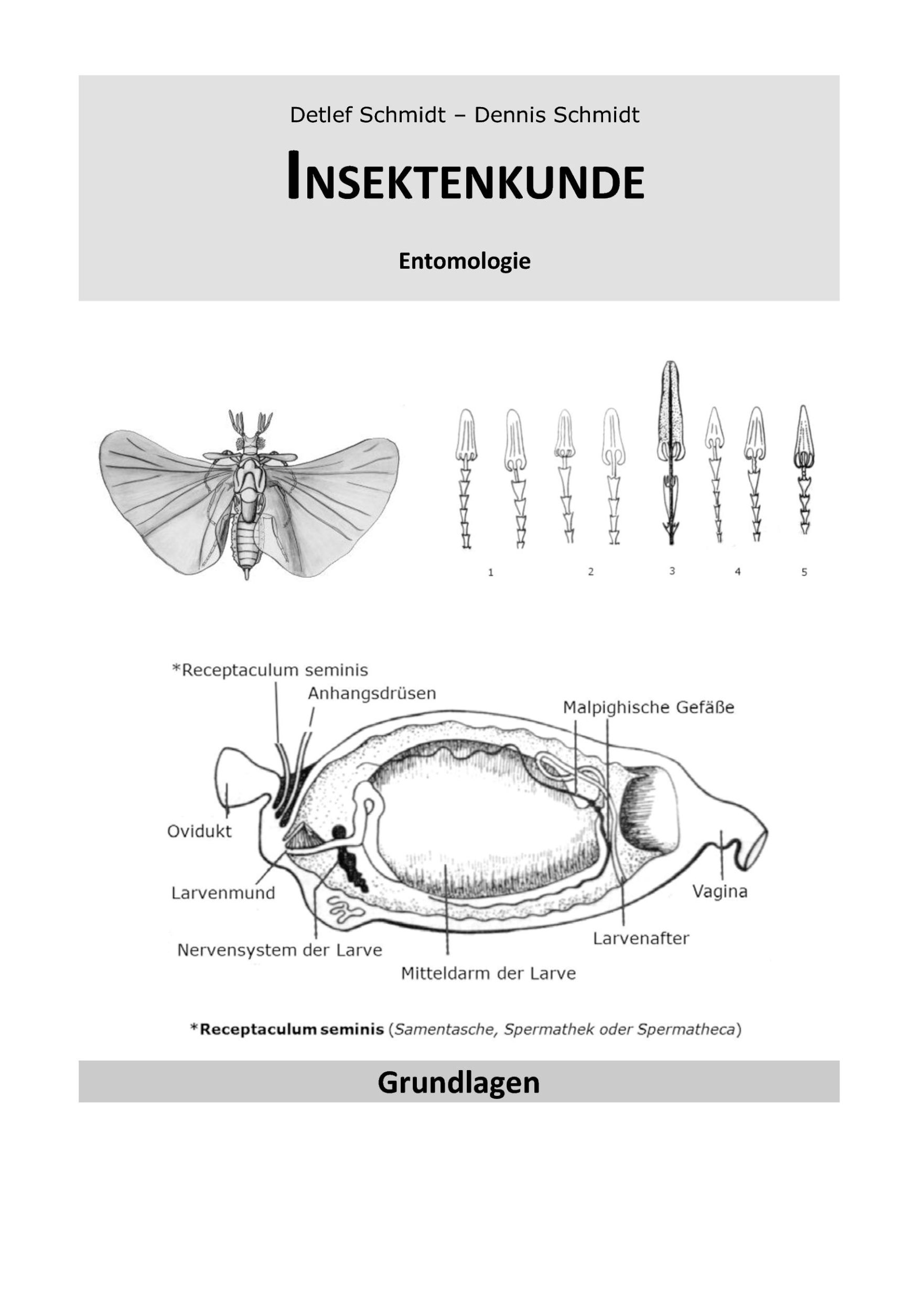 Cover: 9783741289859 | Insektenkunde | Entomologie | Detlef Schmidt | Taschenbuch | 400 S.