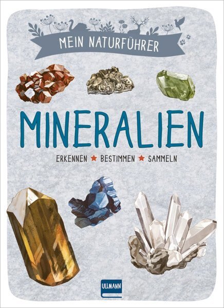 Cover: 9783741524905 | Mein Naturführer - Mineralien | Erkennen, bestimmen, sammeln | Japiot