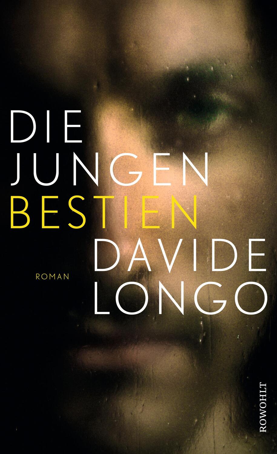 Cover: 9783498039462 | Die jungen Bestien | Ein Krimi aus dem Piemont | Davide Longo | Buch