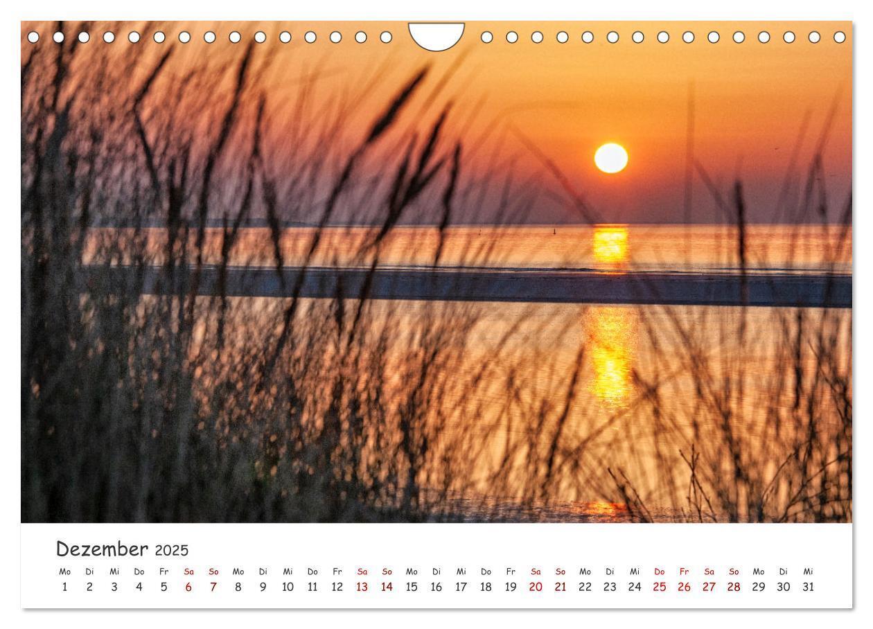 Bild: 9783435029297 | Sehnsuchtinsel Langeoog (Wandkalender 2025 DIN A4 quer), CALVENDO...