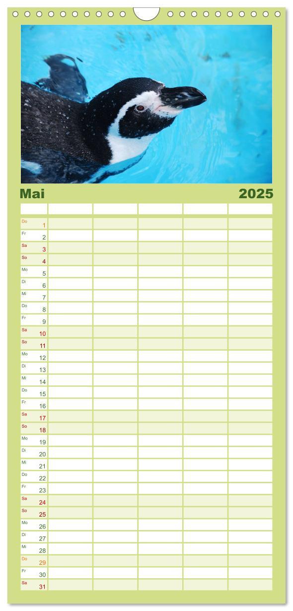 Bild: 9783457120293 | Familienplaner 2025 - Pinguine 2025 mit 5 Spalten (Wandkalender, 21...