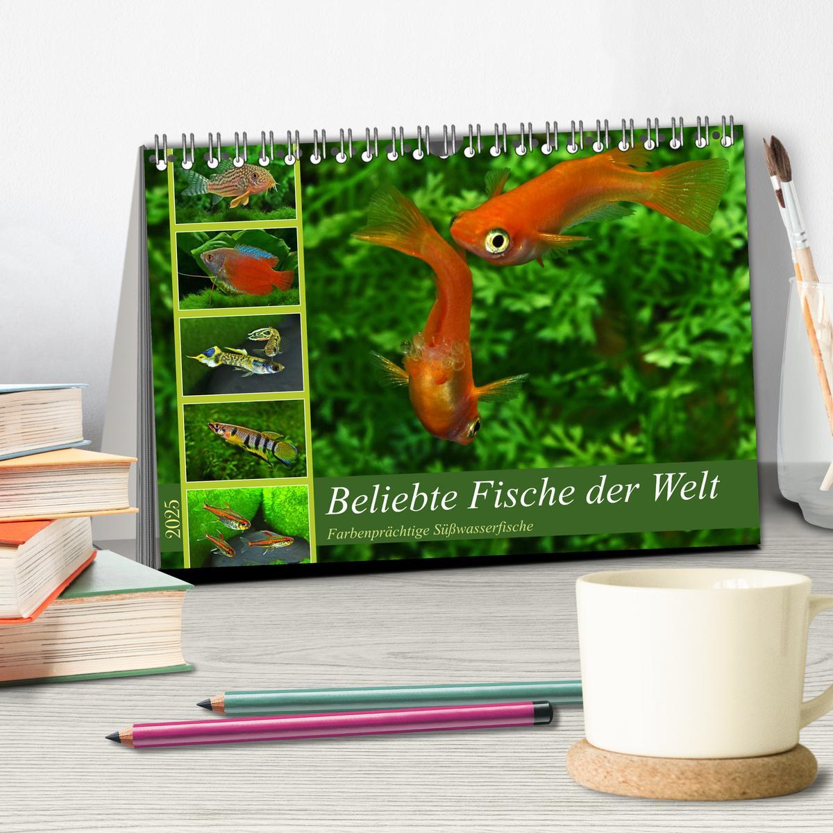 Bild: 9783383906275 | Beliebte Fische der Welt (Tischkalender 2025 DIN A5 quer), CALVENDO...