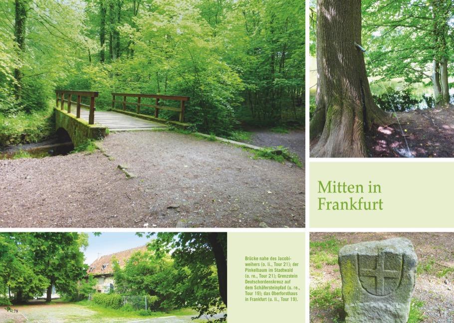 Bild: 9783734313639 | Waldpfade Frankfurt | Antje Bayer | Taschenbuch | 160 S. | Deutsch