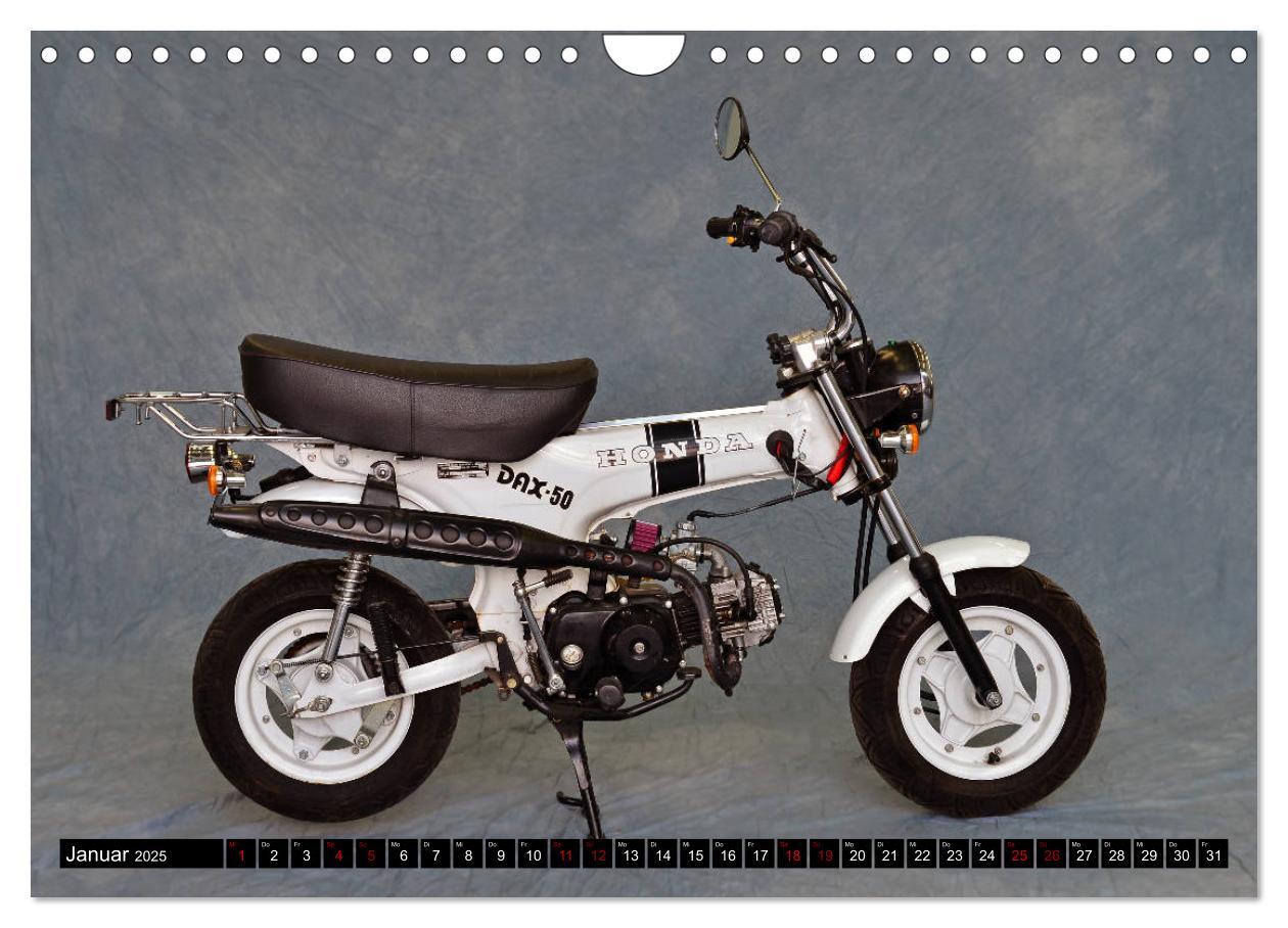 Bild: 9783435109913 | Bonsai Mopeds (Wandkalender 2025 DIN A4 quer), CALVENDO Monatskalender