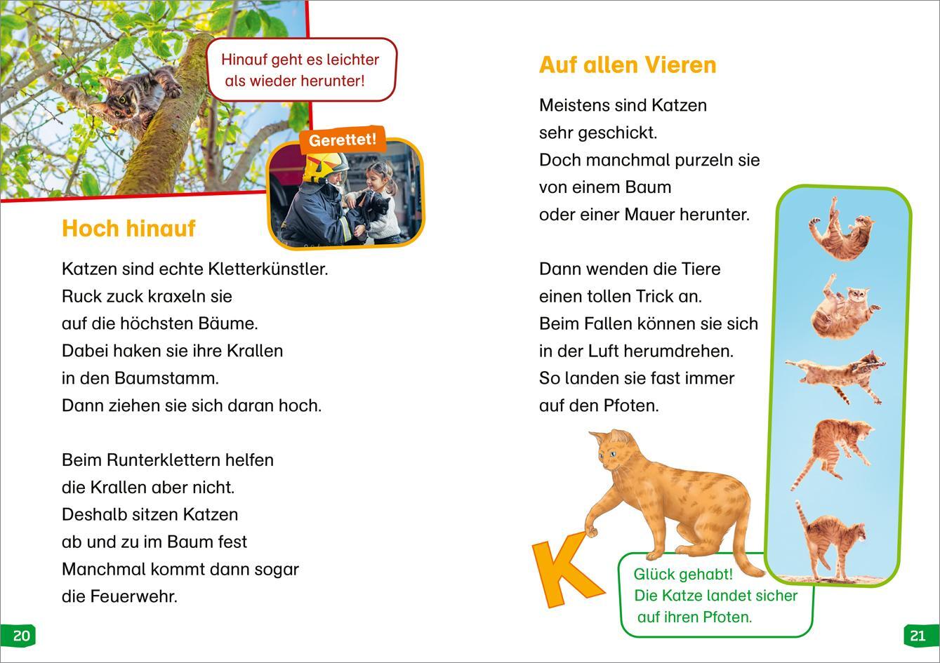 Bild: 9783788677282 | WAS IST WAS Erstes Lesen easy! Band 10. Katzen - meine Lieblingstiere